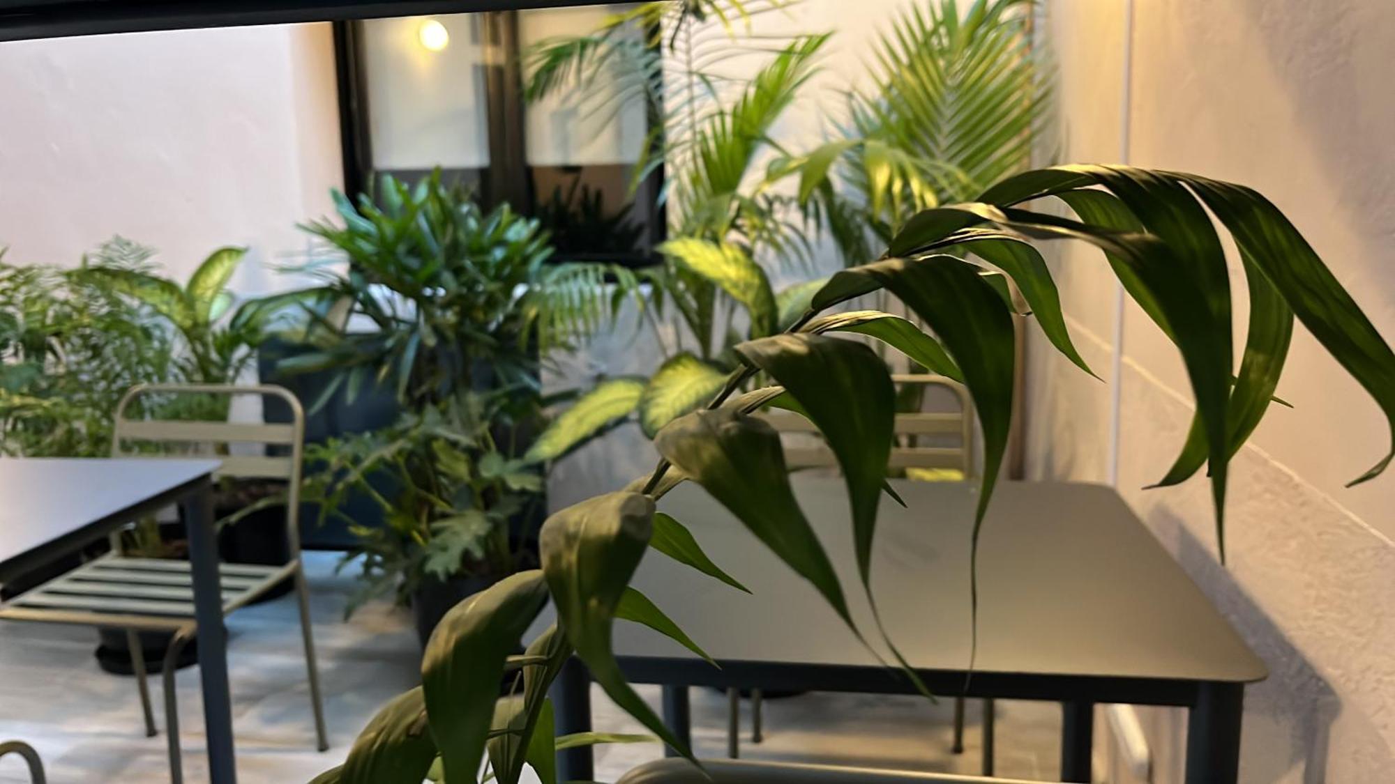 Charcas Suites Palermo Soho, Buenos Aires